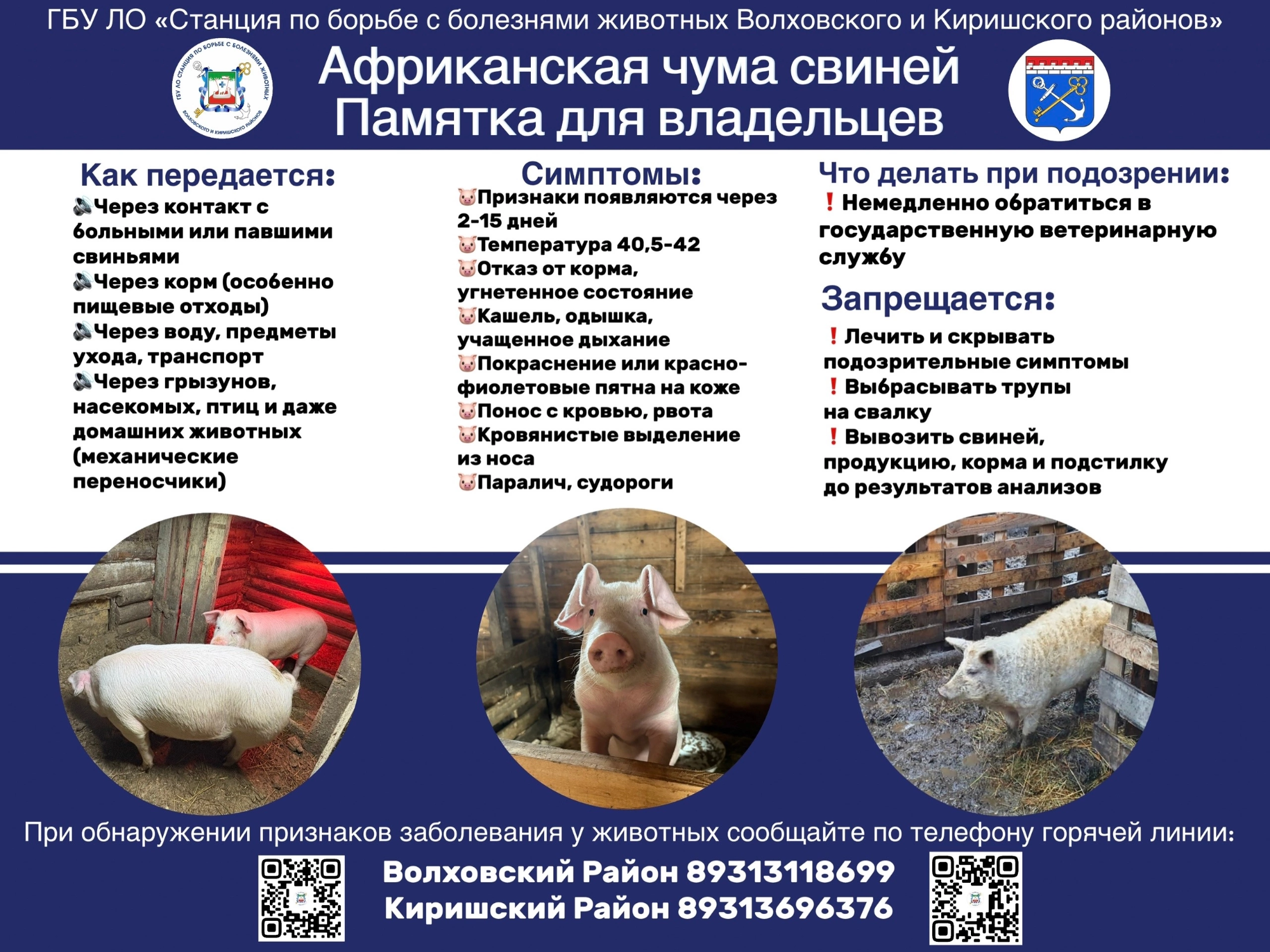 Государственная ветеринарная служба Киришского района обращается к киришанам и жителям района.