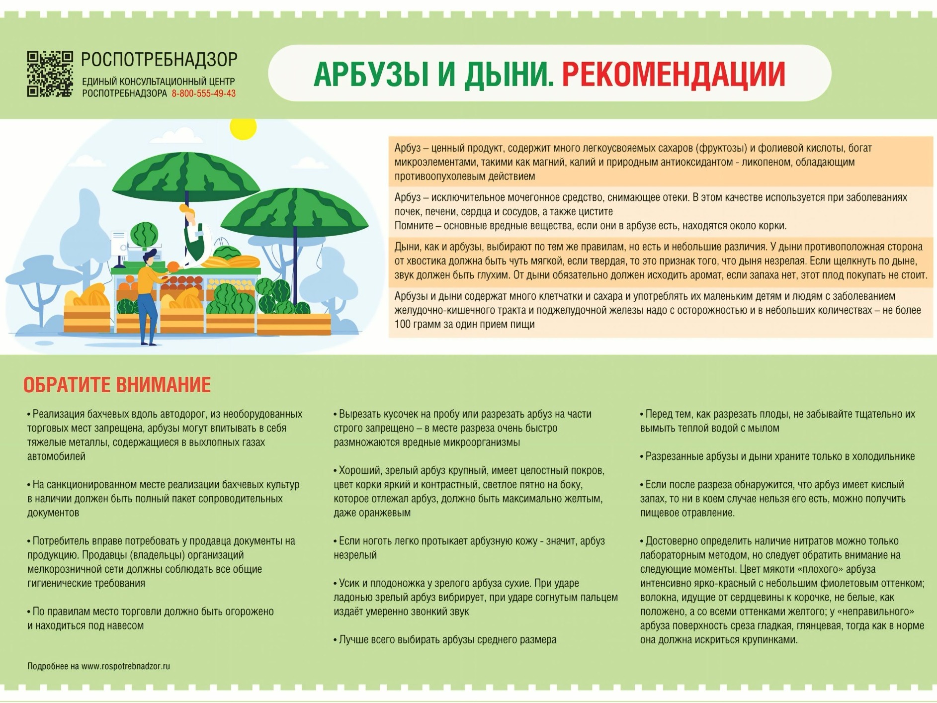 Правила при выборе арбузов и дынь.